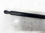 Gasdruckfeder Kofferraum Citroen C5, II 2008.02 - 2011.01 9660369880,7900210364f0