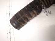 Schlauch für Luftversorgung Fiat Ducato, 2002.04 - 2006.07 Gebraucht,