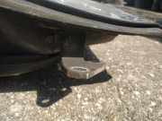 T?rscharnier Vorne Lexus GS, III 2007.06 - 2011.06 facelift Gebraucht,