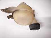 Ausgleichsbehälter Citroen C3, II 2009.11 --> present 9652621280, 9680163780