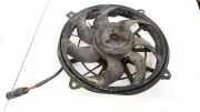 Kühlerlüfter Lüftermotor Ford Galaxy, Mk I 2000.04 - 2006.04 facelift 3136613284,