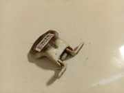 Türscharnier Vorne Subaru Legacy, BE, BH, BT 1998.10 - 2003.09 Gebraucht , Used