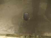 Waschwasserd?se Scheibenreinigung Mazda 3, BK 2003.10 - 2009.06 Gebraucht,