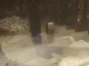 Waschwasserd?se Scheibenreinigung Chrysler 300C, I 2005.01 - 2010.06 Gebraucht,