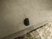 Waschwasserdüse Scheibenreinigung Toyota Corolla Verso, III 2004.05 - 2007 Gebraucht,