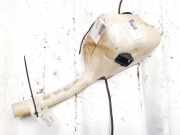 Scheibenwaschbeh?lter Vorne Wischwasserbeh?lter Ford Fiesta, V 2002.01 - 2004.12 2s6117618ad,2s61-17618-ad 2n11-17618-ad