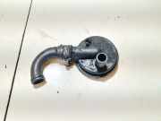 Ventil Kurbelgehäuseentlüftung Audi A3, 8L 1996.09 - 2000.10 028129101e,