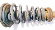 Fahrwerksfeder vorne Nissan Primera, P11 1996.06 - 2001.12 Gebraucht,