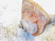 Stoßdämpfer - Vorne Linke Peugeot 807, 2002.06 - 2012.05 Gebraucht,