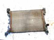Wasserkühler Fiat Grande Punto, 2005.01 - 2012.12 61917, 508520