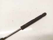 Gasdruckfeder Kofferraum Audi A4, B5 1994.11 - 1999.09 8d5827552f,