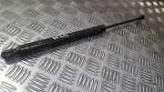 Gasdruckfeder Kofferraum Volkswagen Golf, V 2003.10 - 2008.10 1K6827550D,2749SK0535N Bkc