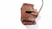 Bremssattel - Vorne Rechts Jaguar X-Type, 2001.06 - 2007.11 Gebraucht,