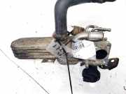 Rohrleitung AGR-Ventil Volkswagen Golf, V 2003.10 - 2008.10 038131521cd, BXF