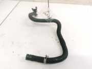 Kühlerschlauch Nissan Primera, P12 2002.01 - 2008.12 Gebraucht,