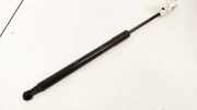 Gasdruckfeder Kofferraum Toyota Prius, 2003.06 - 2009.01 689500W850,68950-0W850