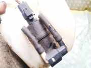Waschwasserpumpe Scheibenreinigung Citroen C3 Picasso, I 2009.02 - 2012.06 681155,246091