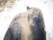 Radhausschale - Vorne Rechts Opel Astra, H 2004.03 - 2009.12 Gebraucht,