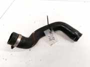 Kühlerschlauch Fiat Punto, 1999.09 - 2005.10 Gebraucht,
