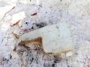 Scheibenwaschbehälter Vorne Wischwasserbehälter Audi 80, B3 1986.06 - 1991.09 893955453b,