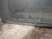 Zierleiste Tür Zier-Schutzleiste - Vorne Linke Chevrolet Orlando, I 2011.01 - 2018.06 Gebraucht,