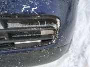 Kühlergrill - Vorne Linke Volkswagen Golf, IV 1997.08 - 2003.10 Gebraucht,