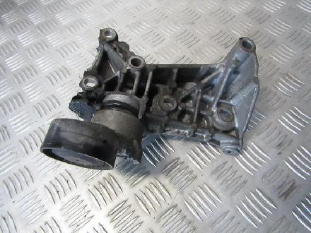 Spannrolle Renault Clio, 2005.05 - 2009.06 8200608550,