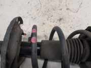 Stoßdämpfer Links Vorne Dacia Sandero II Schrägheck 0.9 TCE 12V (H4B-A400(Euro 5)) 2017-12