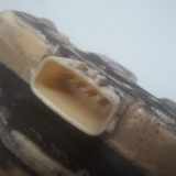 Kraftstoffpumpe Elektrisch 172027215R Renault Clio IV Estate/Grandtour (7R) Kombi 5-drs 1.5 Energy dCi 90 FAP (K9K-629) 2014-04