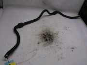 Stabilisatorstange Vorne Renault Twingo II (CN) Schrägheck 3-drs 1.2 16V (Euro 5)) 2009