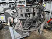 Motor 1713369 Ford Fiesta 6 (JA8) Schrägheck 1.25 16V (STJD) 2011-03