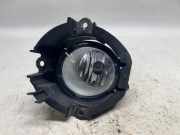 Nebelscheinwerfer Links Vorne 812200D041 Toyota RAV4 (A3) Geländewagen 2.2 D-4D 16V 4x4 (2AD-FTV) 2007