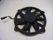 Kühlerventilatormotor 1253K2 Peugeot 307 CC (3B) Cabrio 2.0 HDIF 16V (DW10BTED4(RHR)) 2006