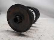 Schraubenfeder Hinten Mercedes-Benz Vito (447.6) Van 2.2 116 CDI 16V (OM651.950) 2017-02