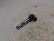 Zündspule 036905715C Volkswagen Polo IV (9N1/2/3) Schrägheck 1.2 12V (BME) 2003-01 BME