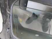 Tür Links Vorne 6800266D21 Suzuki Grand Vitara I (FT/GT/HT) SUV 2.0 TDi/HDi 16V (DW10ATED(RHZ)) 2011