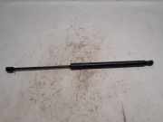 Gasdruckfeder Links Hinten 5E782755203S Skoda Octavia Kombi (NXAC) Kombi 5-drs 2.0 TDI GreenTec 16V (DSUD) 2024-02