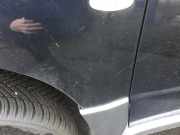 Kotflügel Links Vorne Mitsubishi Outlander (CU) SUV 2.0 16V 4x2 (4G63) 2005-09