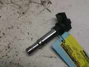 Zündspule 036905715F Skoda Fabia II (5J) Schrägheck 5-drs 1.4i 16V (CGGB) 2008