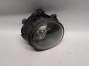 Nebelscheinwerfer Links Vorne 89202951 BMW X5 (E53) SUV 3.0d 24V (M57-D30(306D4)) 2004-08