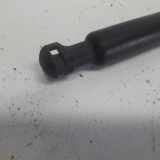 Gasdruckfeder Rechts Hinten 8200299546 Renault Clio III (BR/CR) Schrägheck 1.4 16V (K4J-780) 2005