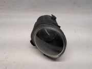 Nebelscheinwerfer Rechts Vorne BMW X5 (E53) SUV 3.0d 24V (M57-D30(306D1)) 2003