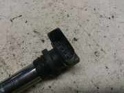 Zündspule 036905715C Volkswagen Polo IV (9N1/2/3) Schrägheck 1.2 12V (BME) 2003 BME