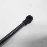 Gasdruckfeder Links Hinten 5Z6827550B Volkswagen Fox (5Z) Schrägheck 1.4 16V (BKR) 2010-11 BKR