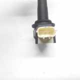 Zündspule 8200699627 Renault Scénic III (JZ) Großraumlimousine 2.0 16V CVT (M4R-713) 2009