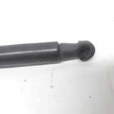 Gasdruckfeder Links Hinten 2277680420N Fiat Panda/Pandina (312) Schrägheck 0.9 TwinAir 65 (312.A.4000) 2013