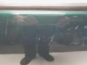 Tür Rechts Hinten 6700347010 Toyota Prius (NHW11L) Limousine 1.5 16V (1NZ-FXE) 2001