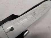 Türgriff Außen Links Vorne Hyundai i10 (B5) Schrägheck 1.0 12V (G3LA) 2019-04