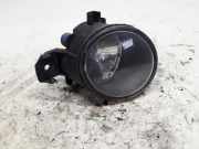 Nebelscheinwerfer Links Vorne Renault Clio III (BR/CR) Schrägheck 1.5 dCi 85 (K9K-766) 2009