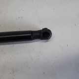 Gasdruckfeder Links Hinten 669220280N Lancia Ypsilon (312) Schrägheck 0.9 TwinAir 85 (312.A.2000(Euro 5)) 2011